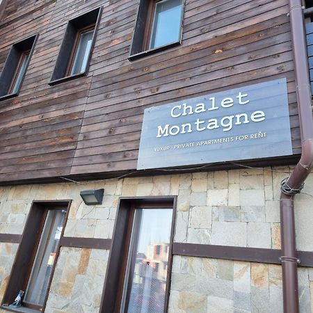 Chalet Montagne Bansko Apartment Eksteriør bilde